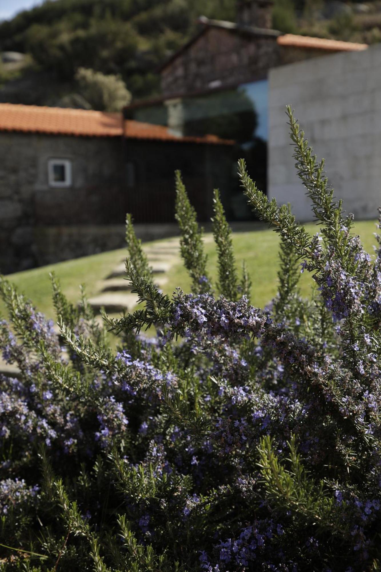Geres - Leiras Do Tempo - Cottages Brufe Экстерьер фото